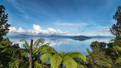 Scenic Cruise on Lake Rotorua